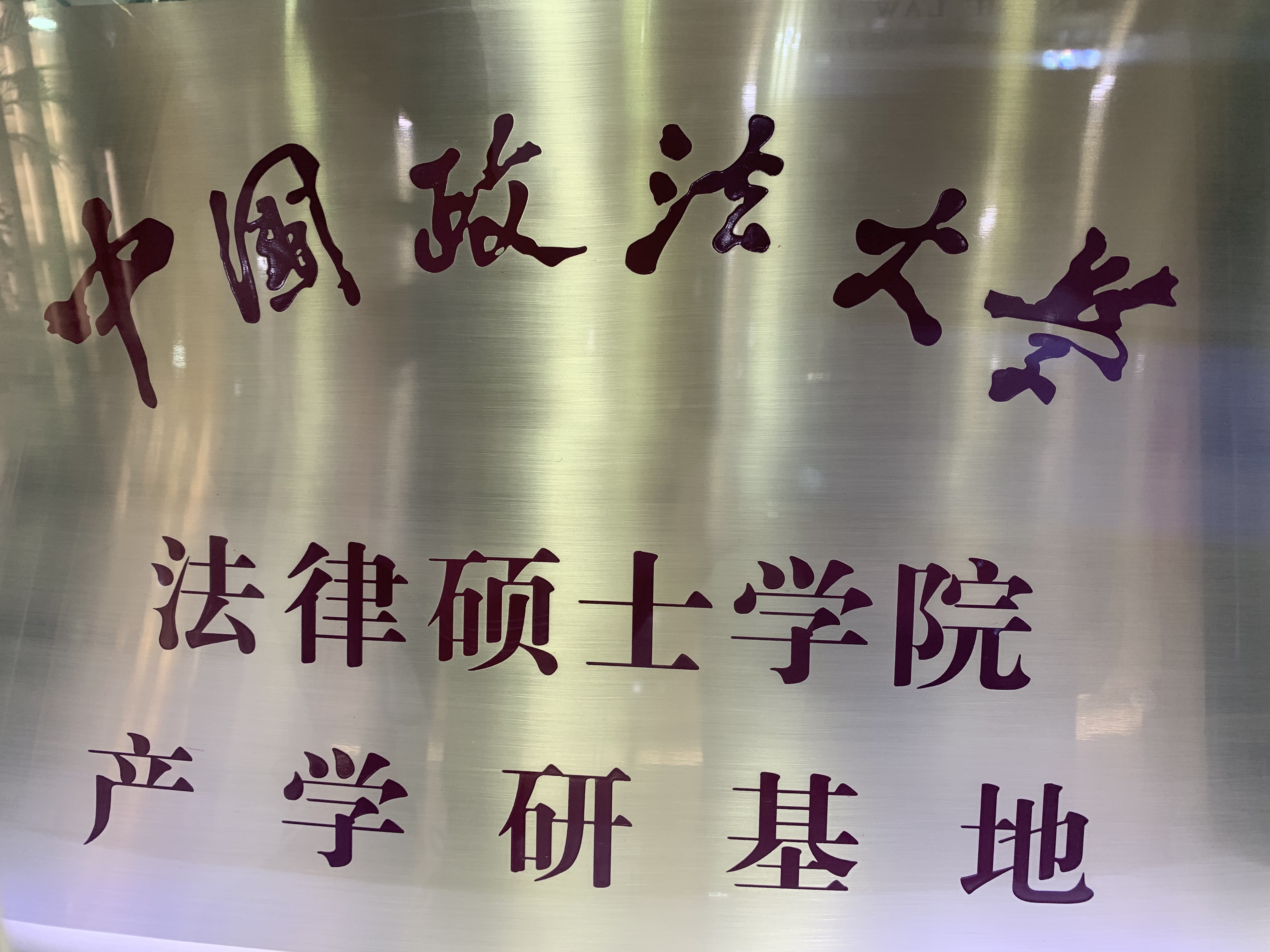团队荣誉