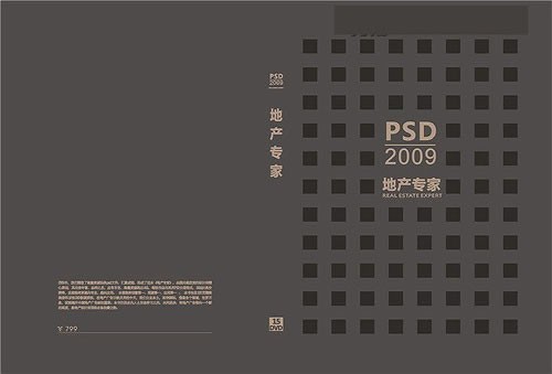 PSD2009地产专卖