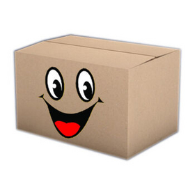 特硬搬家纸箱打包收纳包装纸箱子