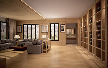 珠江新豪帝景苑10楼1001