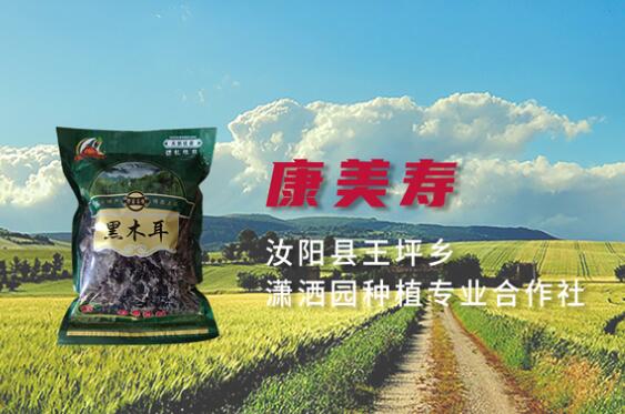 网站建站模板:汝阳县王坪乡潇洒园种植专业合作社