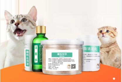 网站建站模板:武汉找猫病兽药经营有限公司