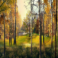 山东莱州生态湿地主题公园景区规划