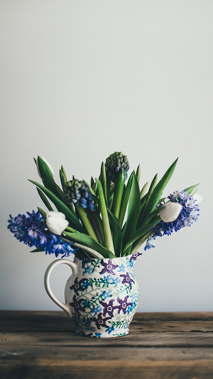 紫色风信子插花