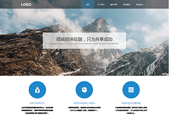 资本有限公司网站模板桌面预览