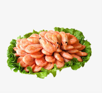 南太湖红虾