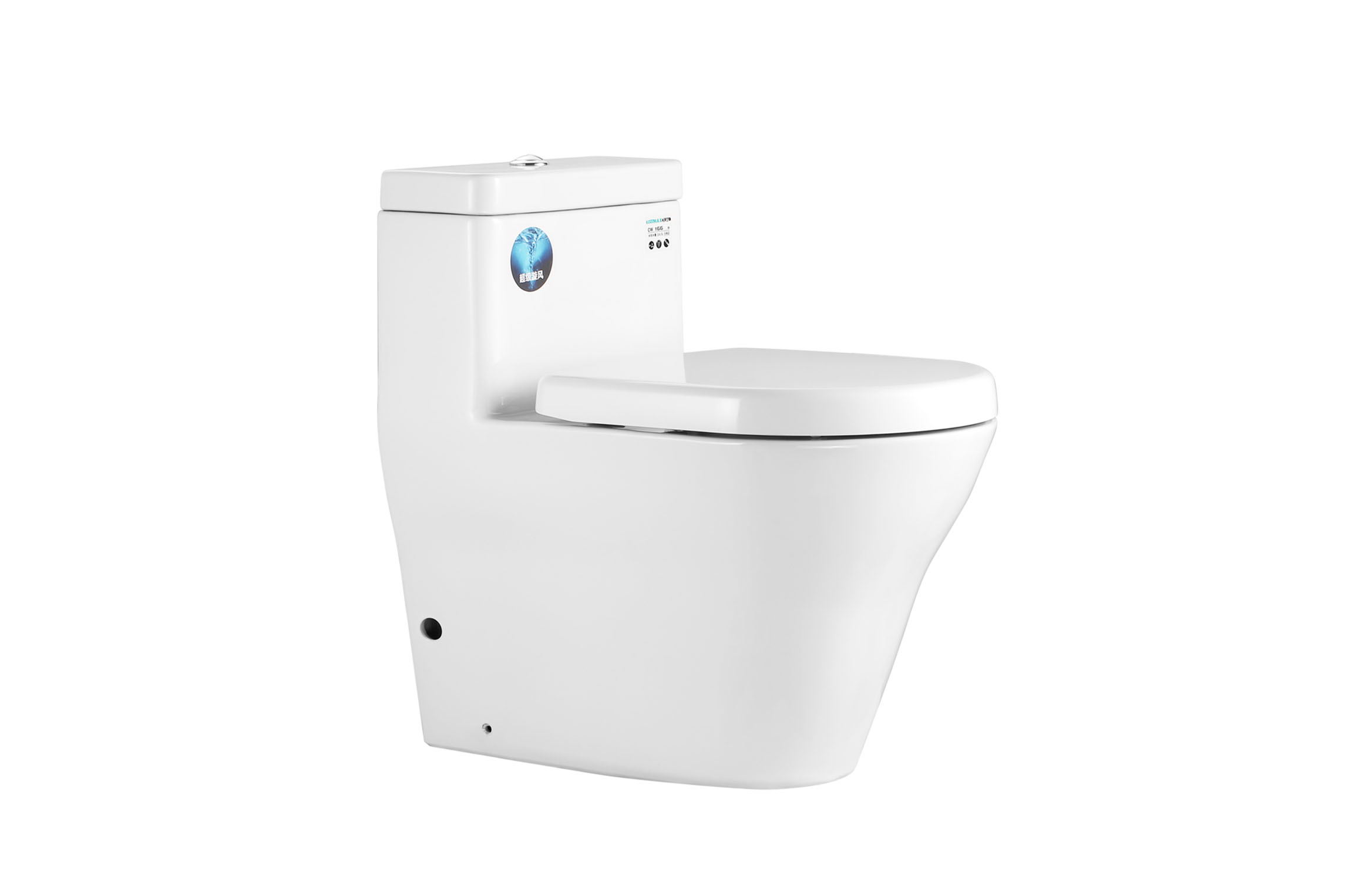 The latest piece of toilet