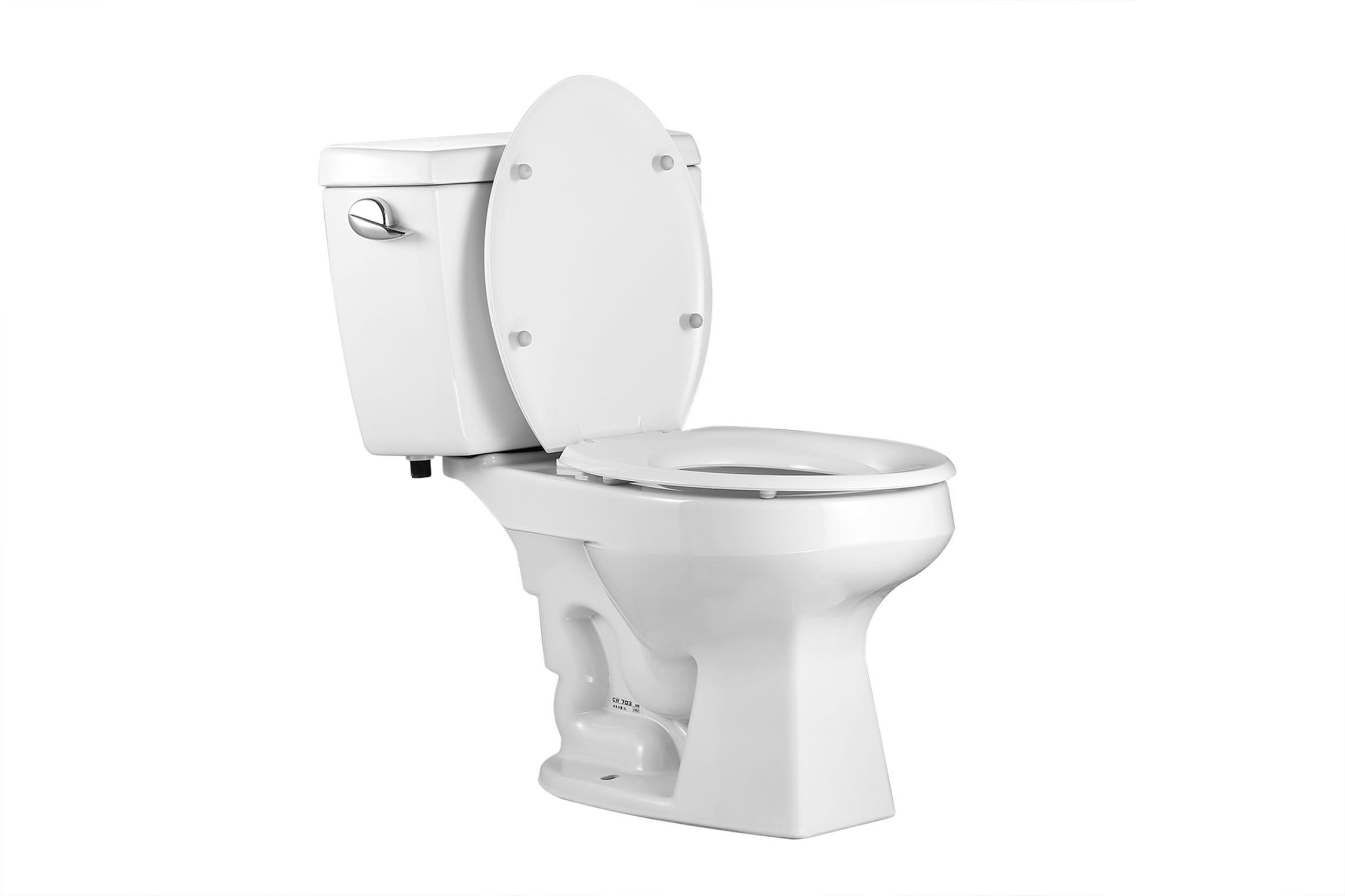 Respect for the toilet