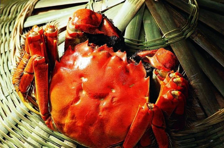 死蟹为何不能吃？