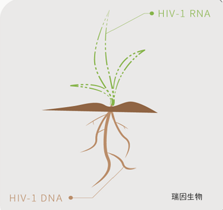 HIV-1 DNA定量检测适应症