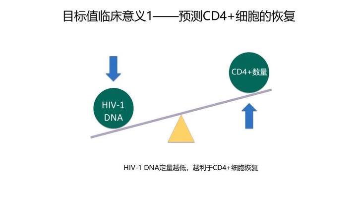 微量精准HIV-1 DNA定量检测应用2