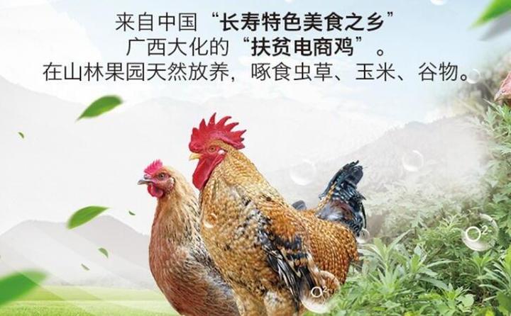《大化瑶族自治县七百弄鸡产业保护条例》立法工作启动