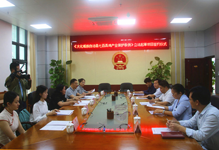 《大化瑶族自治县七百弄鸡产业保护条例》立法起草项目举行签约仪式