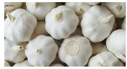 Pure white garlic