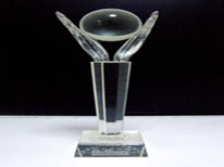 麦克维尔2008年度经销商会议精诚合作奖
