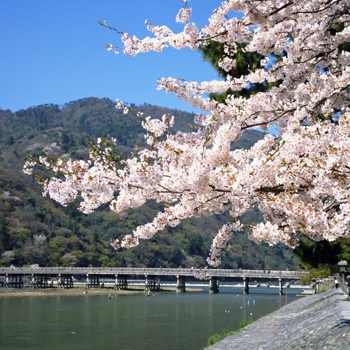 京都畅游十日行