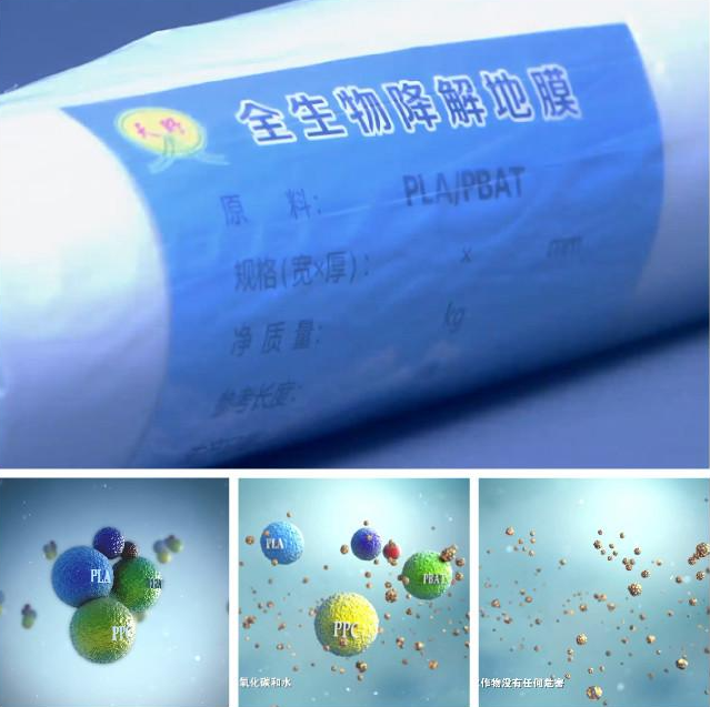 Biodegradable plastic film