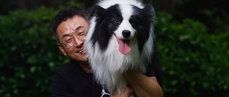 耗时10年，花费3000万，他将中国边牧介绍给世界