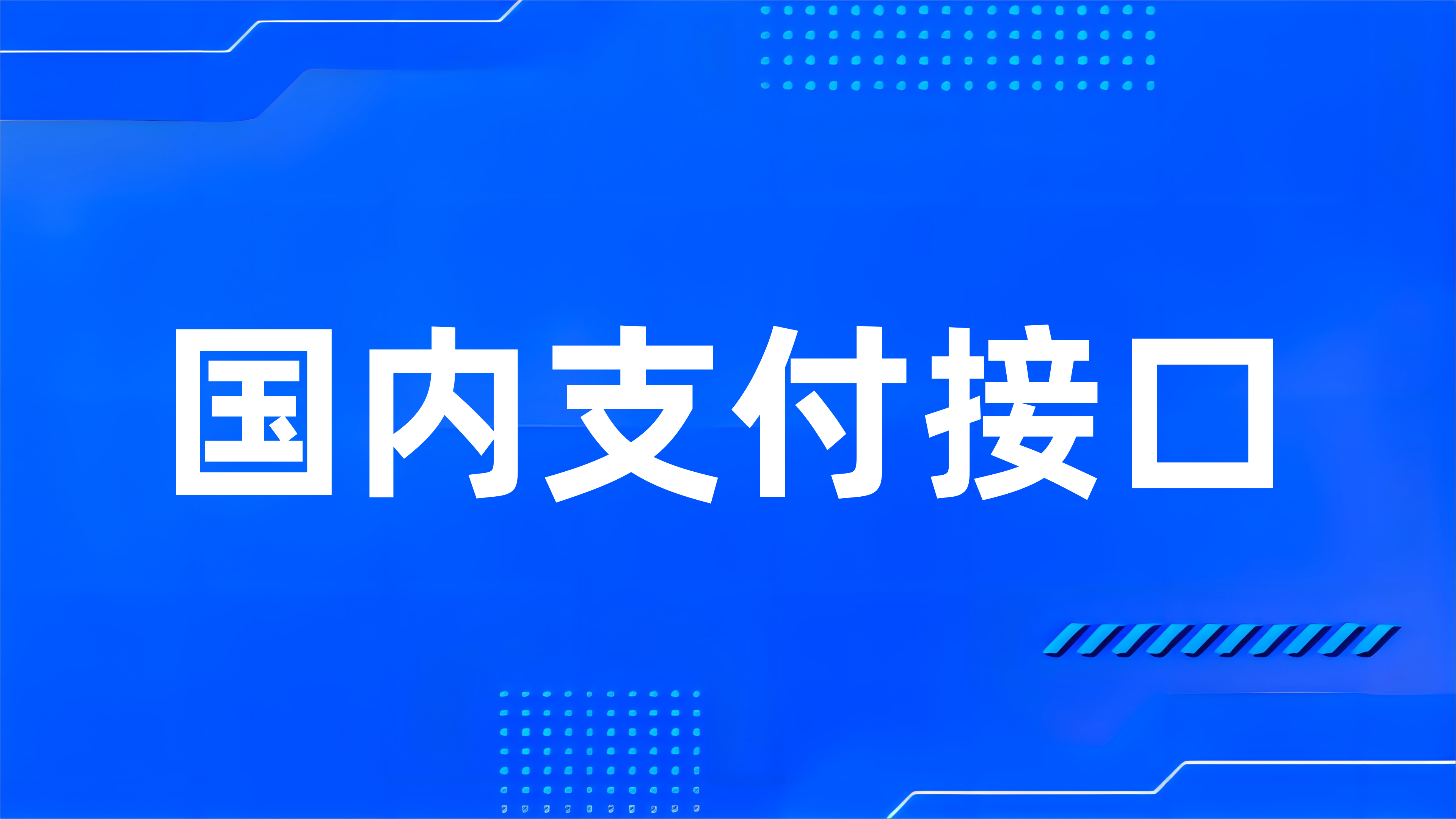 什么是国内支付接口？