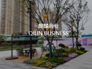 网站建站模板:上海龙藤园林绿化工程有限公司