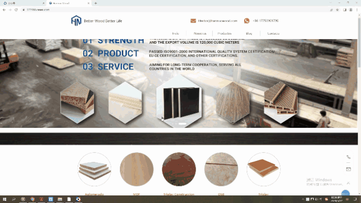 山东瀚斯诺德国际贸易有限公司官网上线 | LTD建材行业案例分享