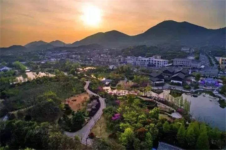 皋亭山景观绿化工程