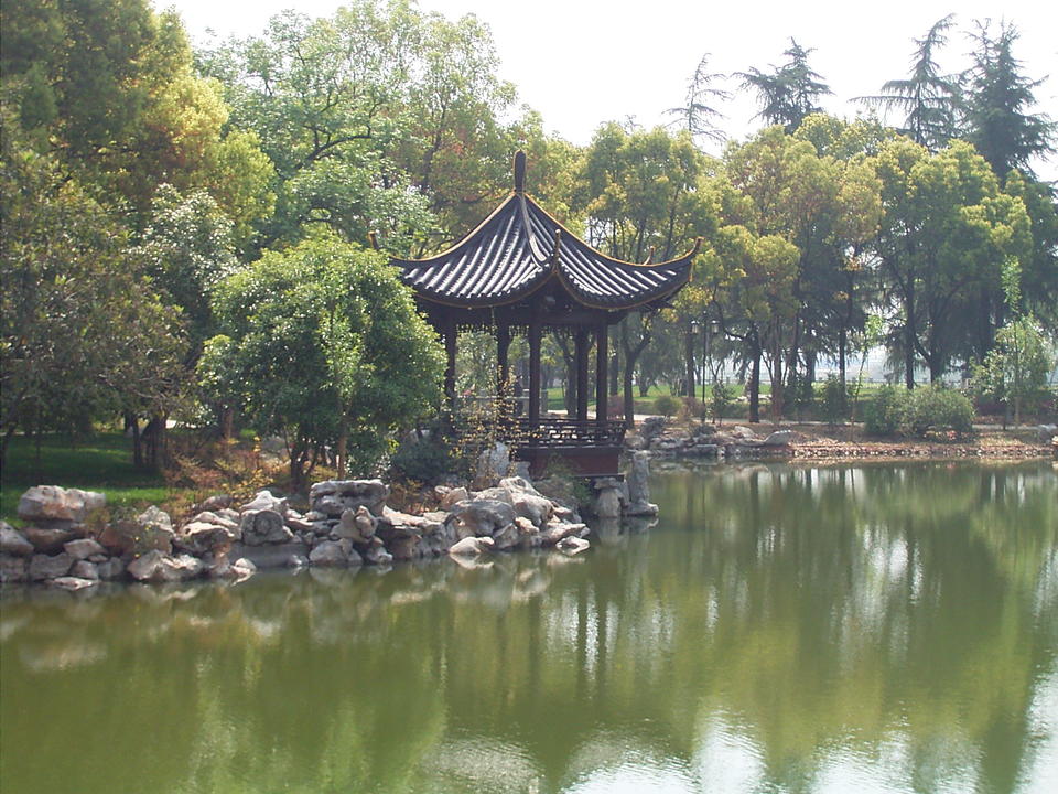 金华婺州公园景观绿化工程