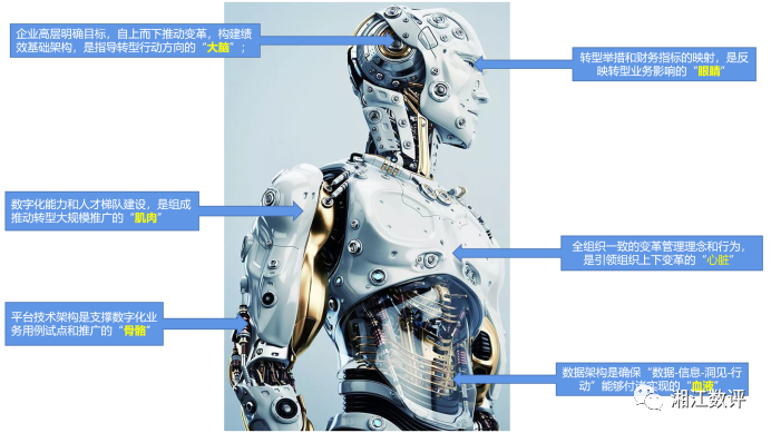 从人体角度来解构数字化转型