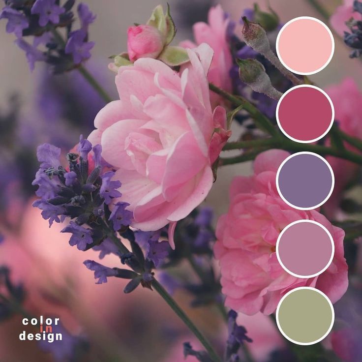 Nice Colors for Spring