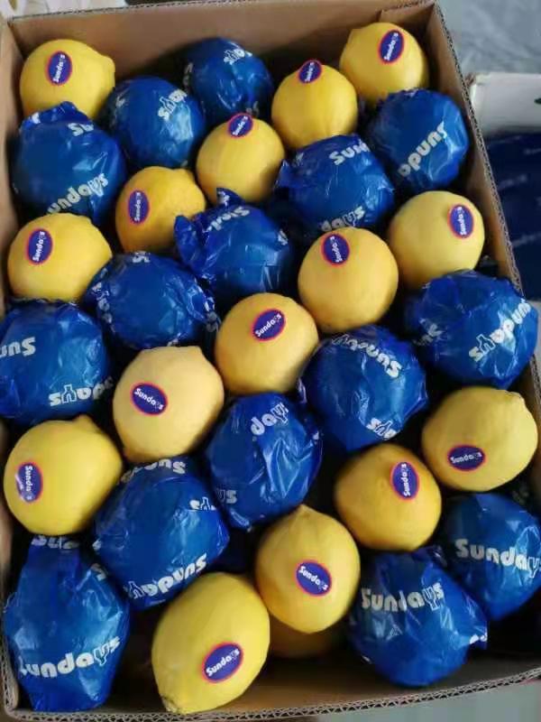 Lemon