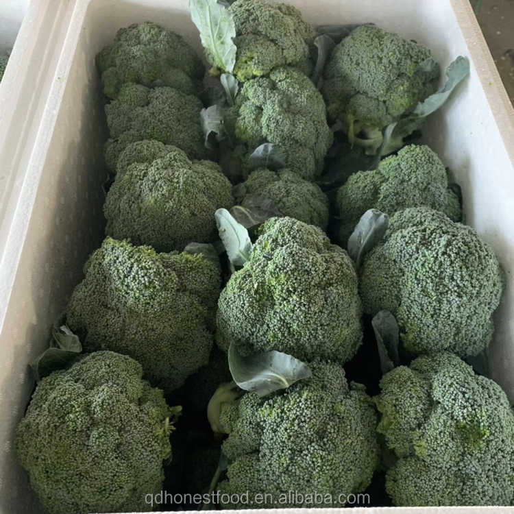 Broccoli