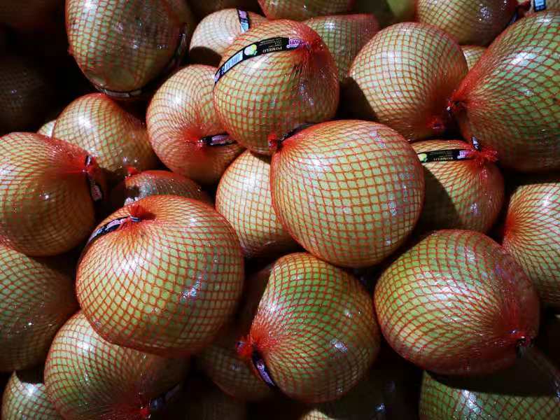 Grapefruit