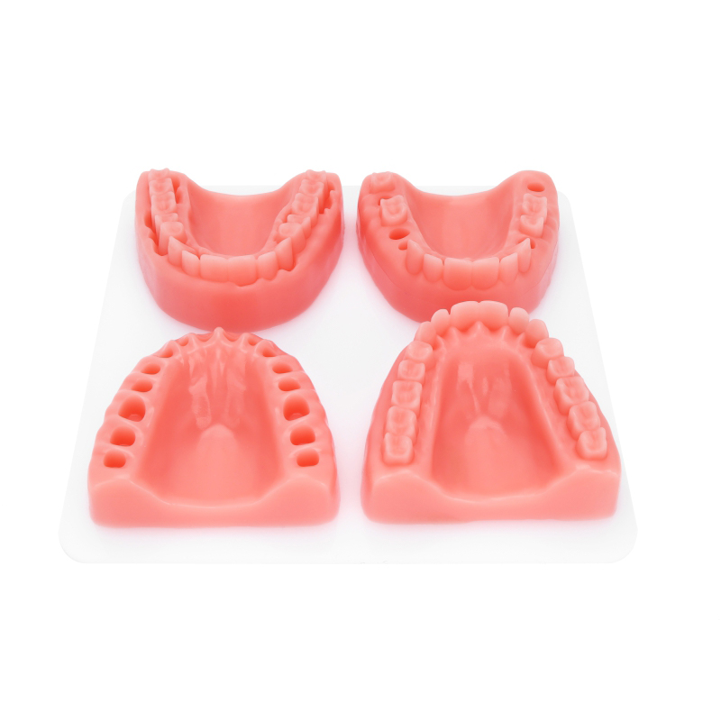 Dental Suture Pad