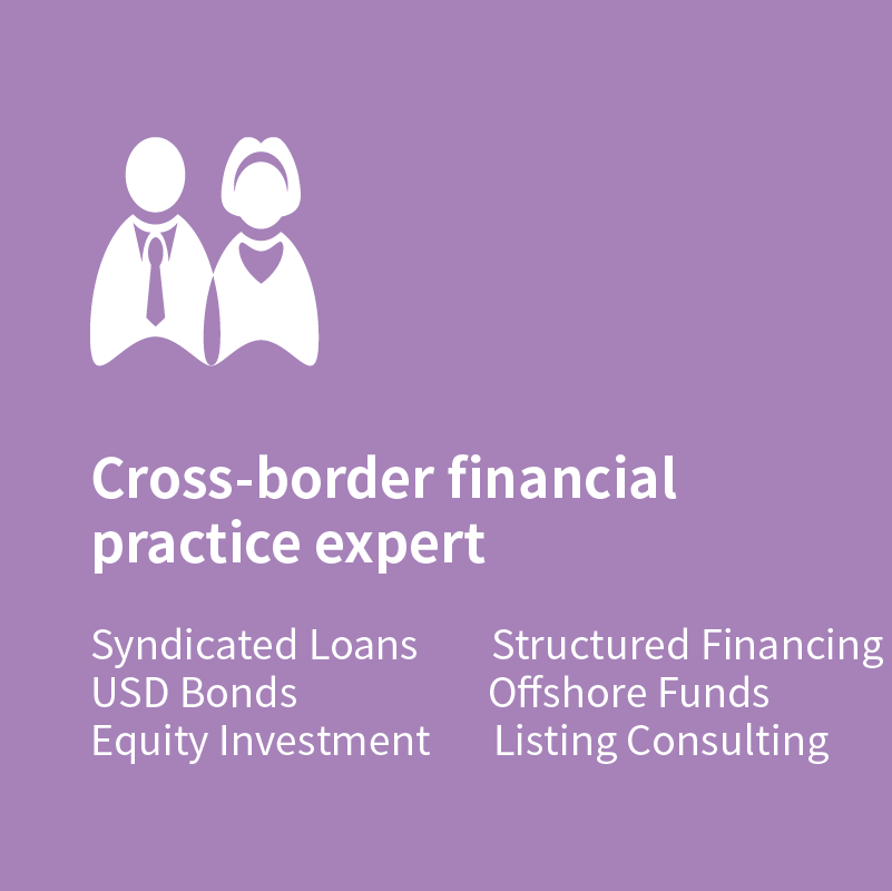 Cross-border financial practice expert<br/>