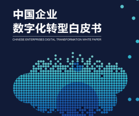 金蝶：中国企业数字化转型白皮书