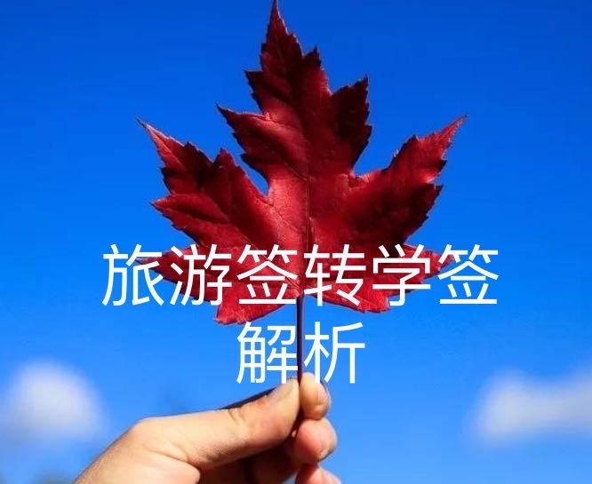 高龄旅转学