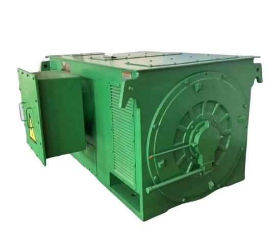 3.3kv 50Hz Electric AC Induction High Voltage Asynchronous Motor