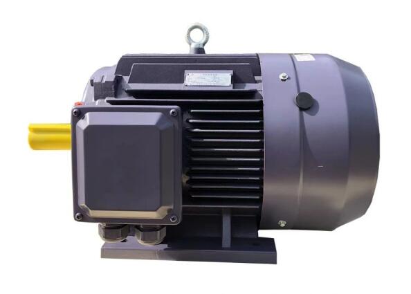 Totally Enclosed Three Phase Asynchronous Electrical Induction Copper Wire AC Electric Motor