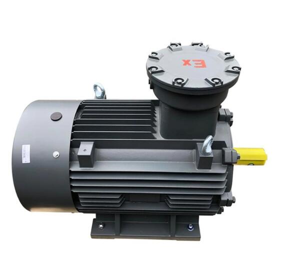 Ex-Proof/Flame Proof Three Phase Asynchronous AC Electric Motor for Petrochemical Industry