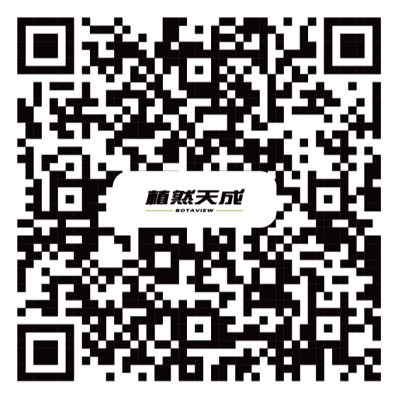 在线客服