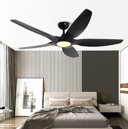 Ceiling fan light 2129