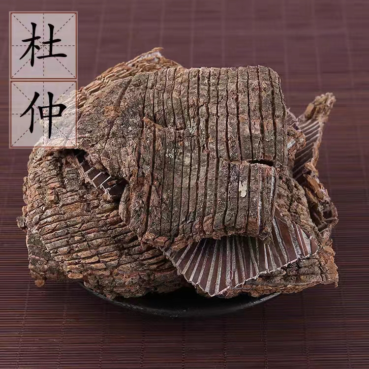 杜仲
