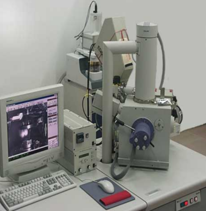 扫描电子显微镜