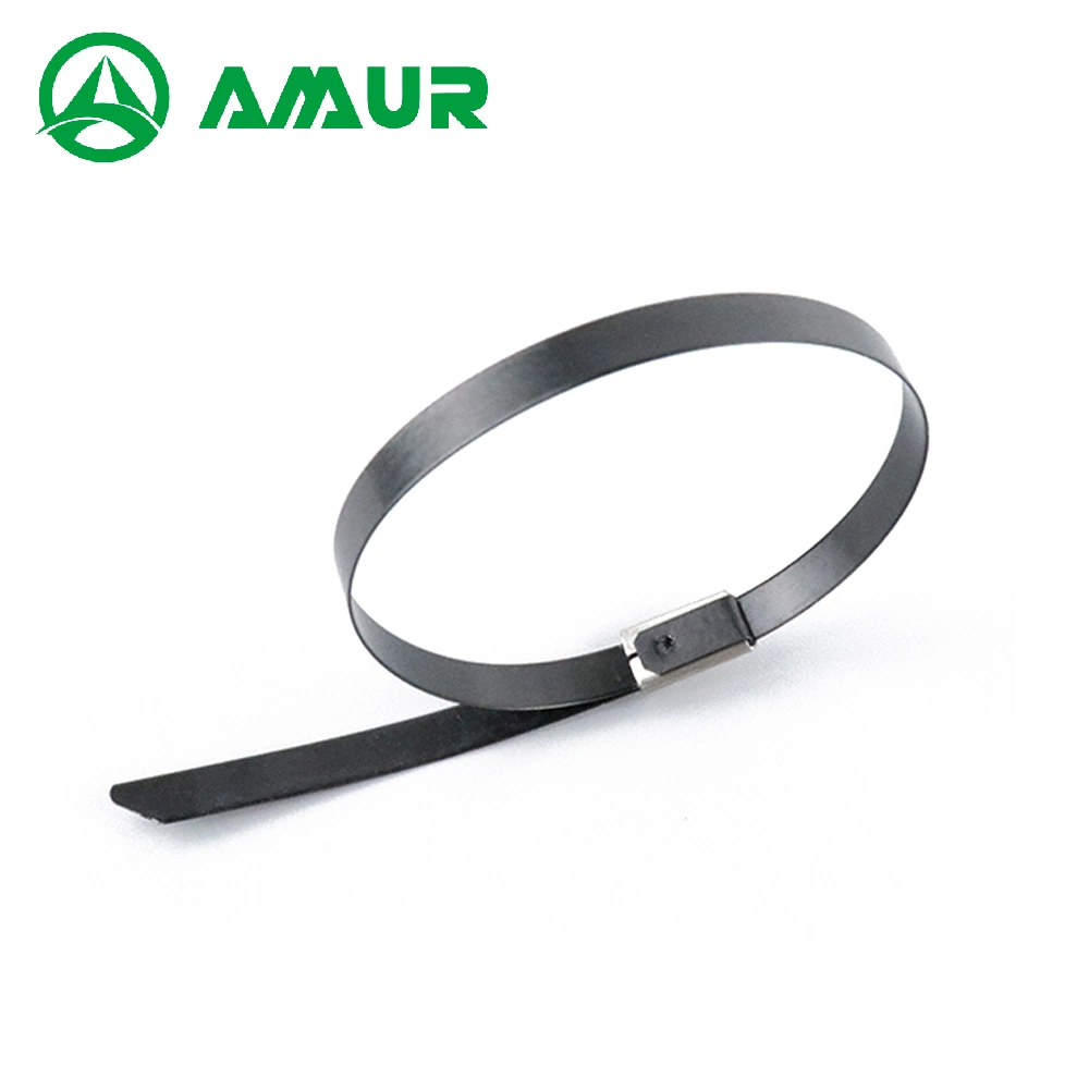 316 7.9*400 Stainless Steel Spray Plastic Cable Tie-Releasable Type