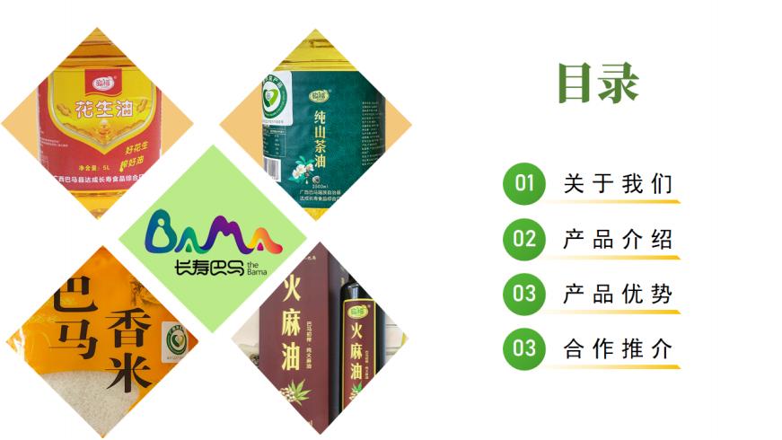 广西巴马瑶族自治县达成长寿食品综合厂宣传册
