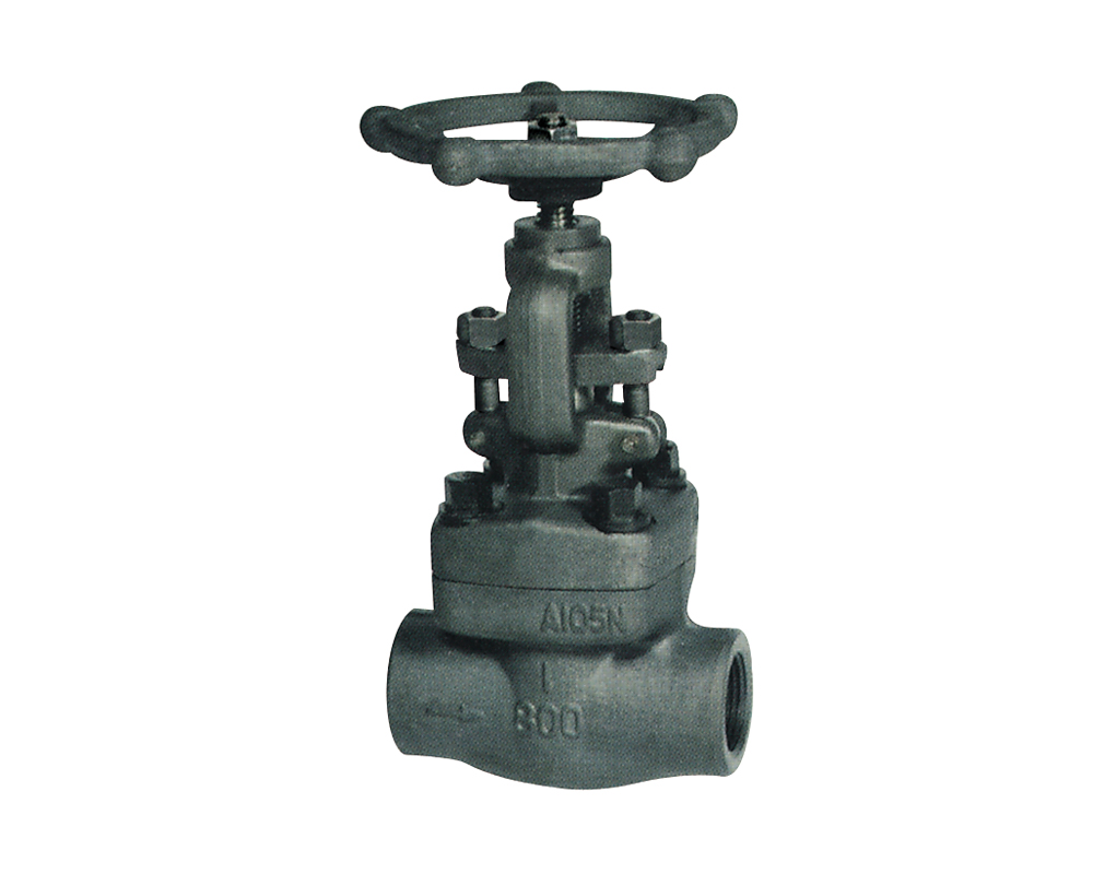 900~2500Lb Pressure-seal Globe Valve