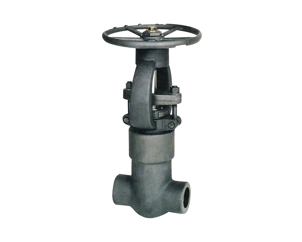 150~1500Lb Globe Valve