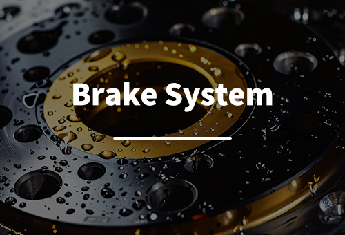 Brake System