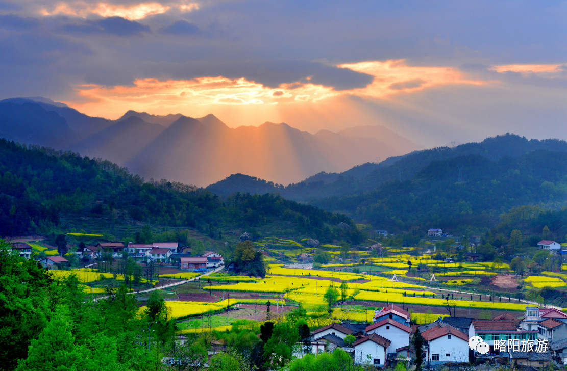 西淮坝油菜花海观花线路