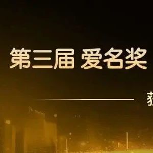 “shoubiao.cn”荣获第三届爱名奖年度十大最具价值行业域名